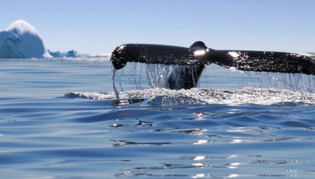 shutterstock_543672994