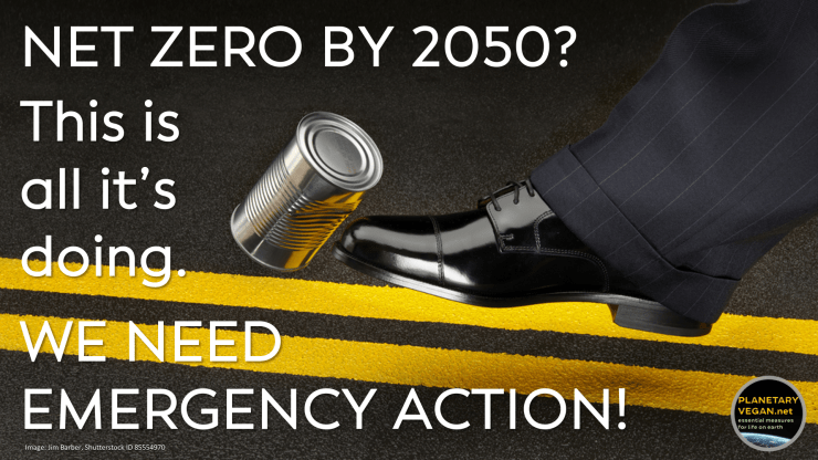 Net-Zero-Kicking-the-can