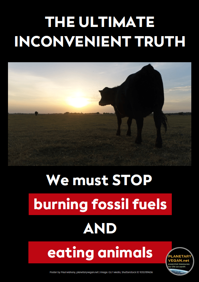 The-ultimate-inconvenient-truth