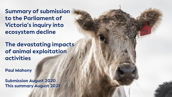 Vic-Ecosystem-Inquiry-Summary-Presentation-Cover