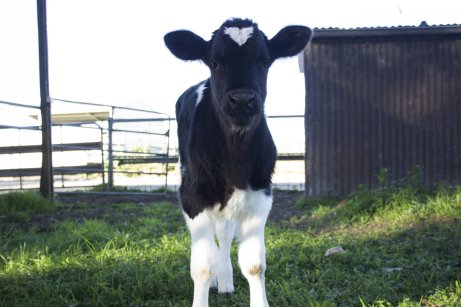 2052-000015360-3e9e74f6f9e27dba8e69